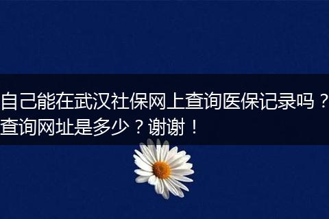 自己能在武汉社保网上查询医保记录吗?查询网址是多少?谢谢!