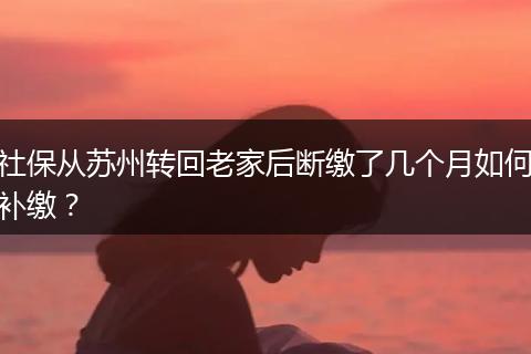 社保从苏州转回老家后断缴了几个月如何补缴？