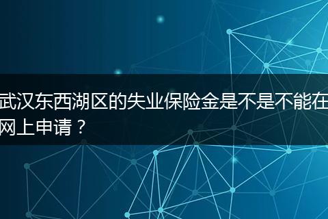 武汉东西湖区的失业保险金是不是不能在网上申请？