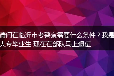 请问在临沂市考警察需要什么条件？我是大专毕业生 现在在部队马上退伍