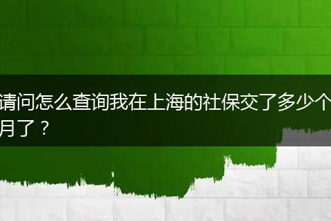 请问怎么查询我在上海的社保交了多少个月了？