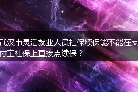 武汉市灵活就业人员社保续保能不能在支付宝社保上直接点续保？