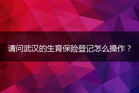 请问武汉的生育保险登记怎么操作？