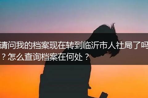 请问我的档案现在转到临沂市人社局了吗？怎么查询档案在何处？