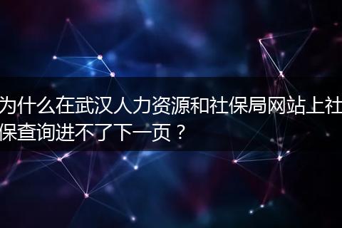 为什么在武汉人力资源和社保局网站上社保查询进不了下一页？