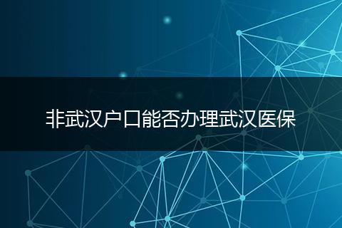 非武汉户口能否办理武汉医保