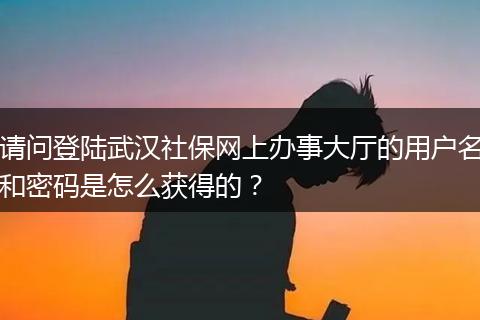 请问登陆武汉社保网上办事大厅的用户名和密码是怎么获得的？