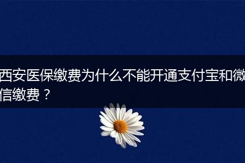 西安医保缴费为什么不能开通支付宝和微信缴费？
