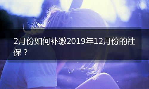 2月份如何补缴2019年12月份的社保？