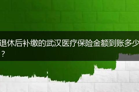 退休后补缴的武汉医疗保险金额到账多少？