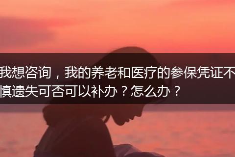 我想咨询，我的养老和医疗的参保凭证不慎遗失可否可以补办？怎么办？