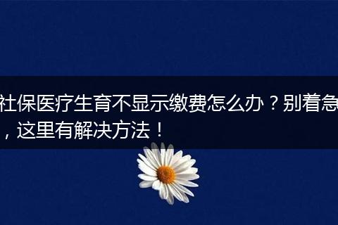 社保医疗生育不显示缴费怎么办？别着急，这里有解决方法！