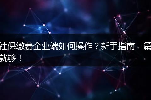 社保缴费企业端如何操作？新手指南一篇就够！