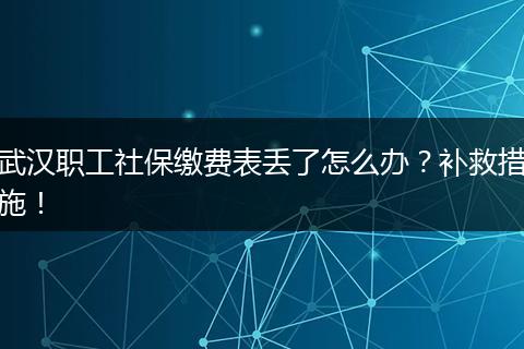武汉职工社保缴费表丢了怎么办？补救措施！