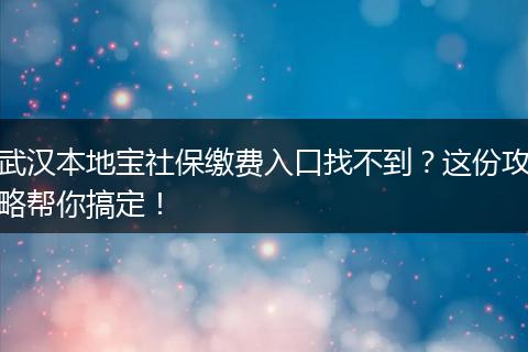 武汉本地宝社保缴费入口找不到？这份攻略帮你搞定！