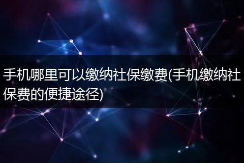 手机哪里可以缴纳社保缴费(手机缴纳社保费的便捷途径)