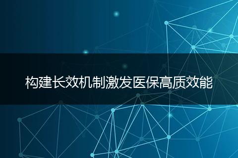 构建长效机制激发医保高质效能