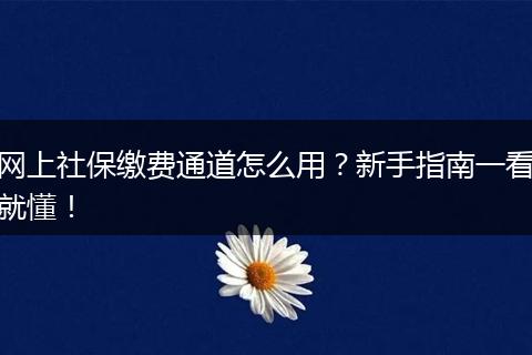 网上社保缴费通道怎么用？新手指南一看就懂！