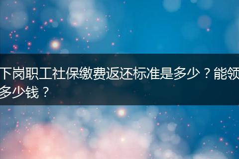 下岗职工社保缴费返还标准是多少？能领多少钱？