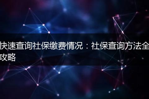 快速查询社保缴费情况：社保查询方法全攻略