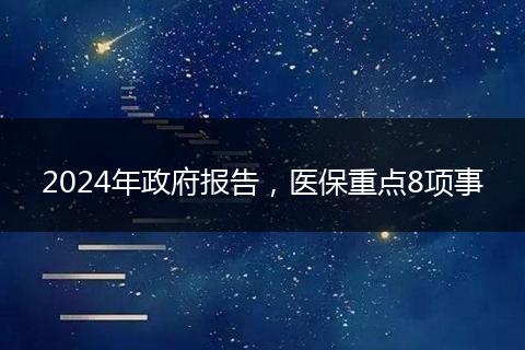 2024年政府报告,医保重点8项事