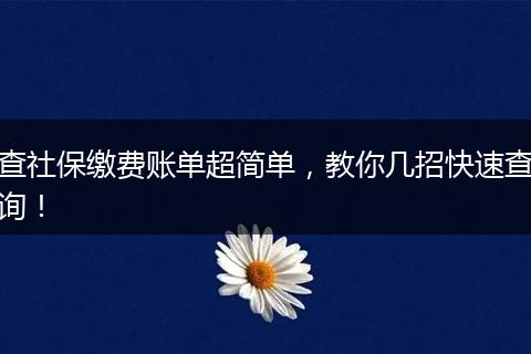 查社保缴费账单超简单，教你几招快速查询！