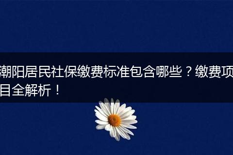 潮阳居民社保缴费标准包含哪些？缴费项目全解析！