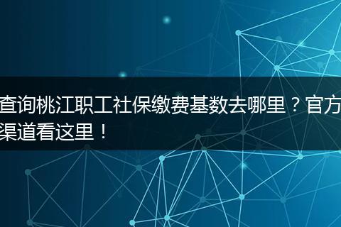 查询桃江职工社保缴费基数去哪里？官方渠道看这里！