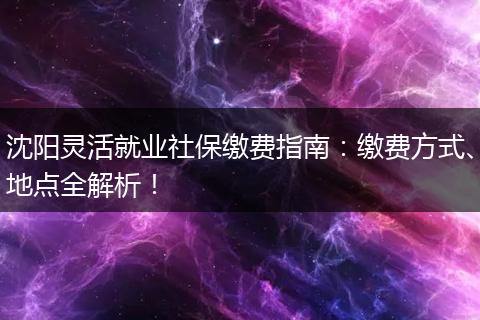 沈阳灵活就业社保缴费指南：缴费方式、地点全解析！