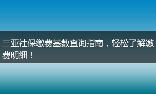 三亚社保缴费基数查询指南，轻松了解缴费明细！