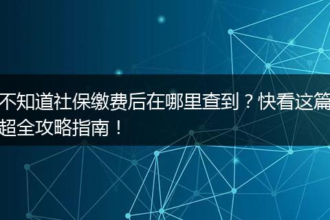 不知道社保缴费后在哪里查到?快看这篇超全攻略指南!