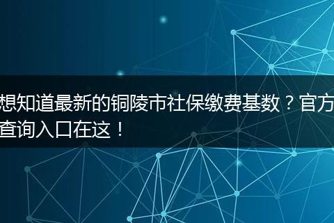 想知道最新的铜陵市社保缴费基数？官方查询入口在这！