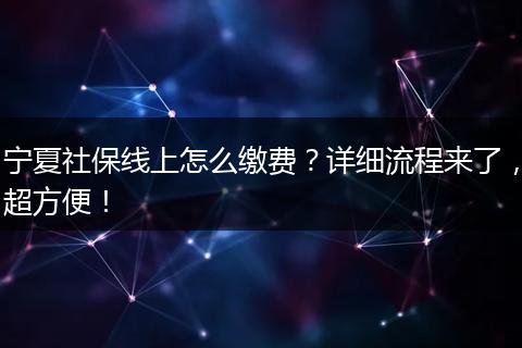 宁夏社保线上怎么缴费?详细流程来了,超方便!