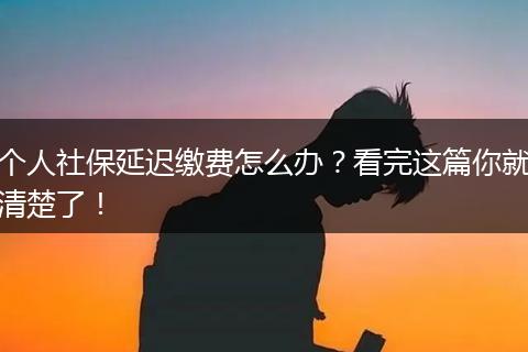 个人社保延迟缴费怎么办？看完这篇你就清楚了！
