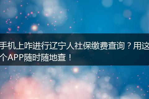 手机上咋进行辽宁人社保缴费查询?用这个APP随时随地查!