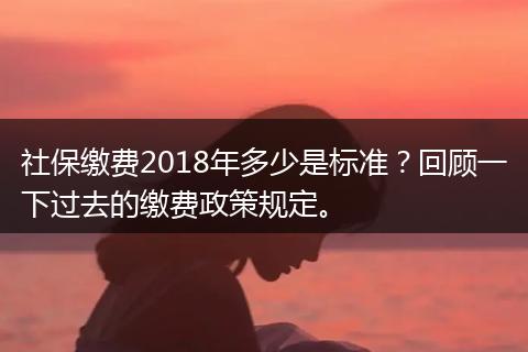 社保缴费2018年多少是标准？回顾一下过去的缴费政策规定。