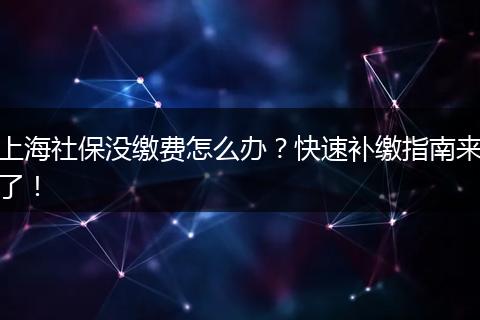 上海社保没缴费怎么办？快速补缴指南来了！