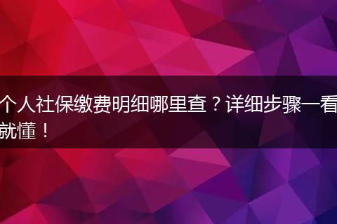 个人社保缴费明细哪里查？详细步骤一看就懂！