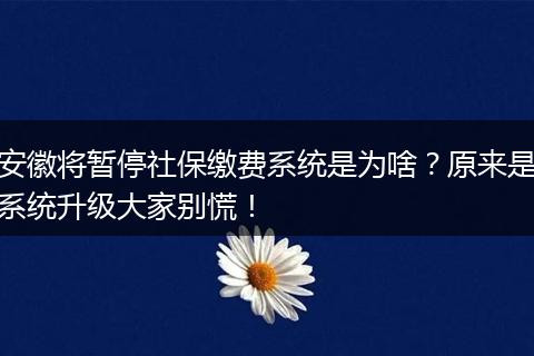 安徽将暂停社保缴费系统是为啥？原来是系统升级大家别慌！