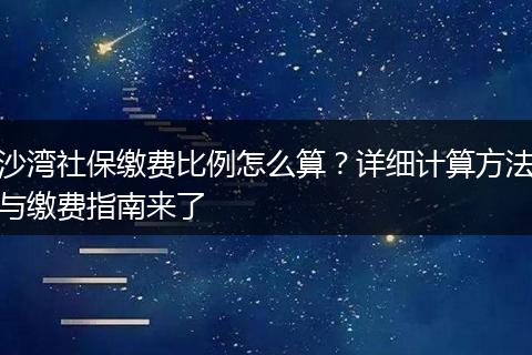 沙湾社保缴费比例怎么算？详细计算方法与缴费指南来了