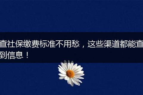 查社保缴费标准不用愁，这些渠道都能查到信息！