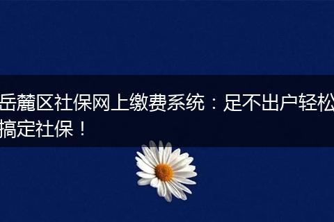 岳麓区社保网上缴费系统：足不出户轻松搞定社保！
