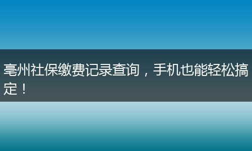 亳州社保缴费记录查询，手机也能轻松搞定！