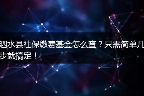 泗水县社保缴费基金怎么查？只需简单几步就搞定！