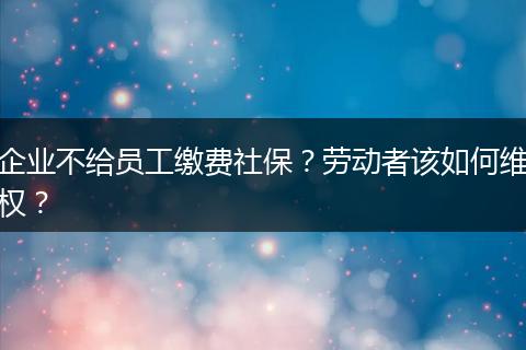 企业不给员工缴费社保？劳动者该如何维权？