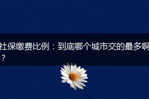 社保缴费比例：到底哪个城市交的最多啊？