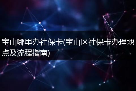 宝山哪里办社保卡(宝山区社保卡办理地点及流程指南)