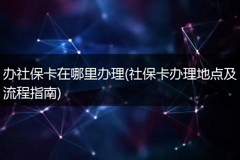 办社保卡在哪里办理(社保卡办理地点及流程指南)