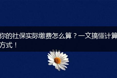 你的社保实际缴费怎么算？一文搞懂计算方式！