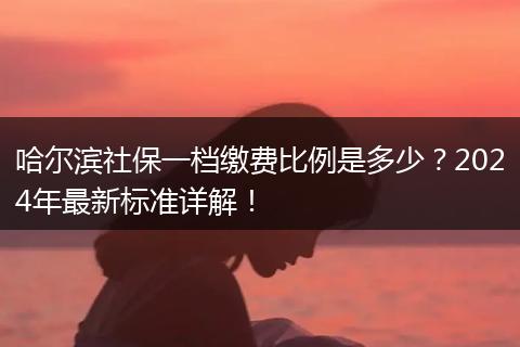 哈尔滨社保一档缴费比例是多少？2024年最新标准详解！